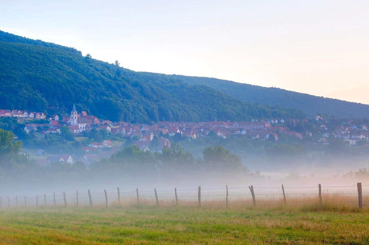 Hotellerie Du Couvent Oberbronn المظهر الخارجي الصورة